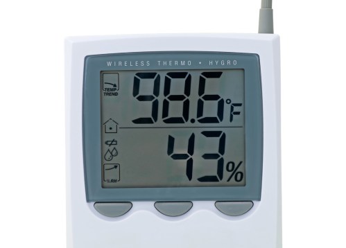 canstockphoto7861396